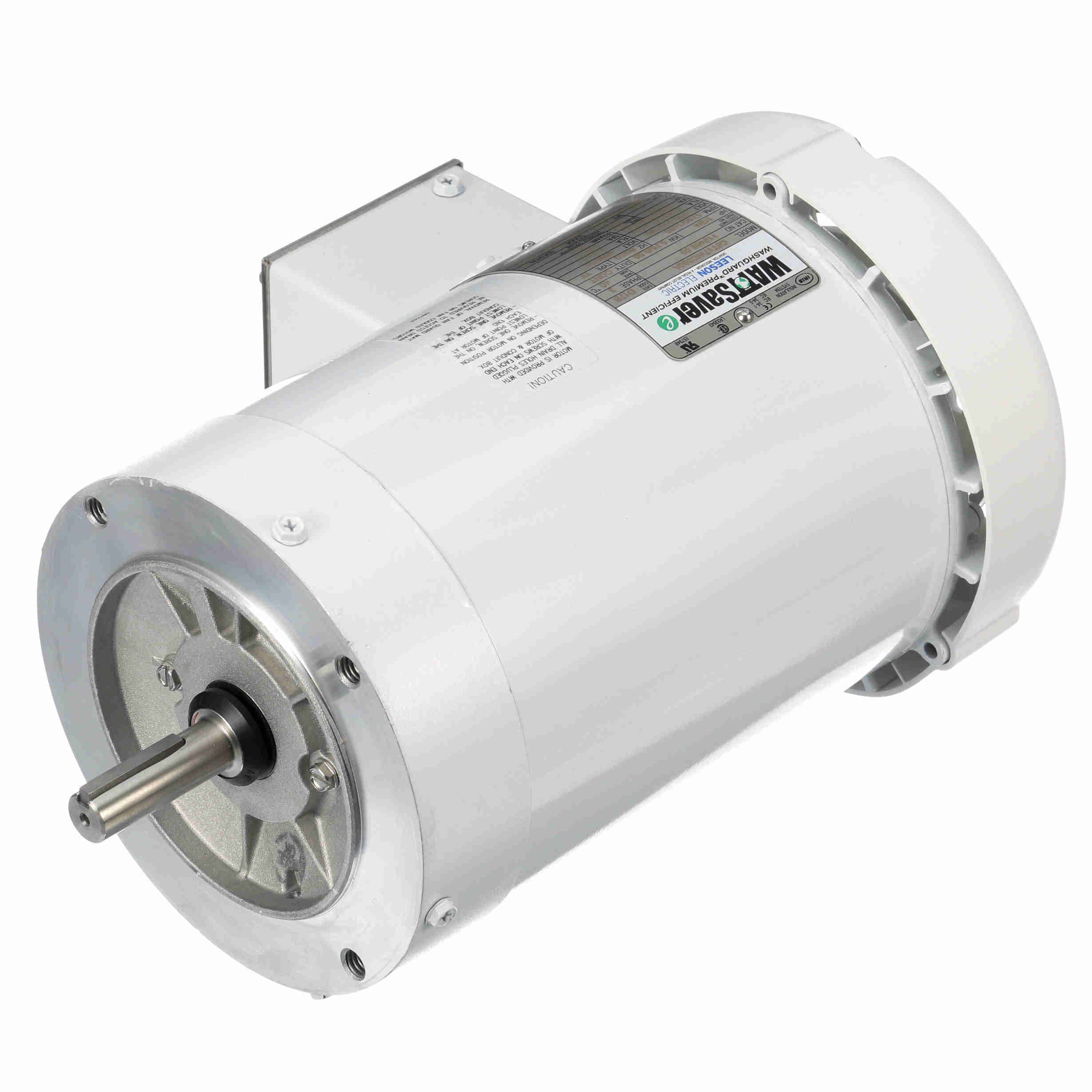 119468.00 Leeson 1HP Washguard Electric Motor, 1800 RPM