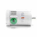 119471.00 Leeson Washguard Motor, 2 HP, 1800 RPM-1