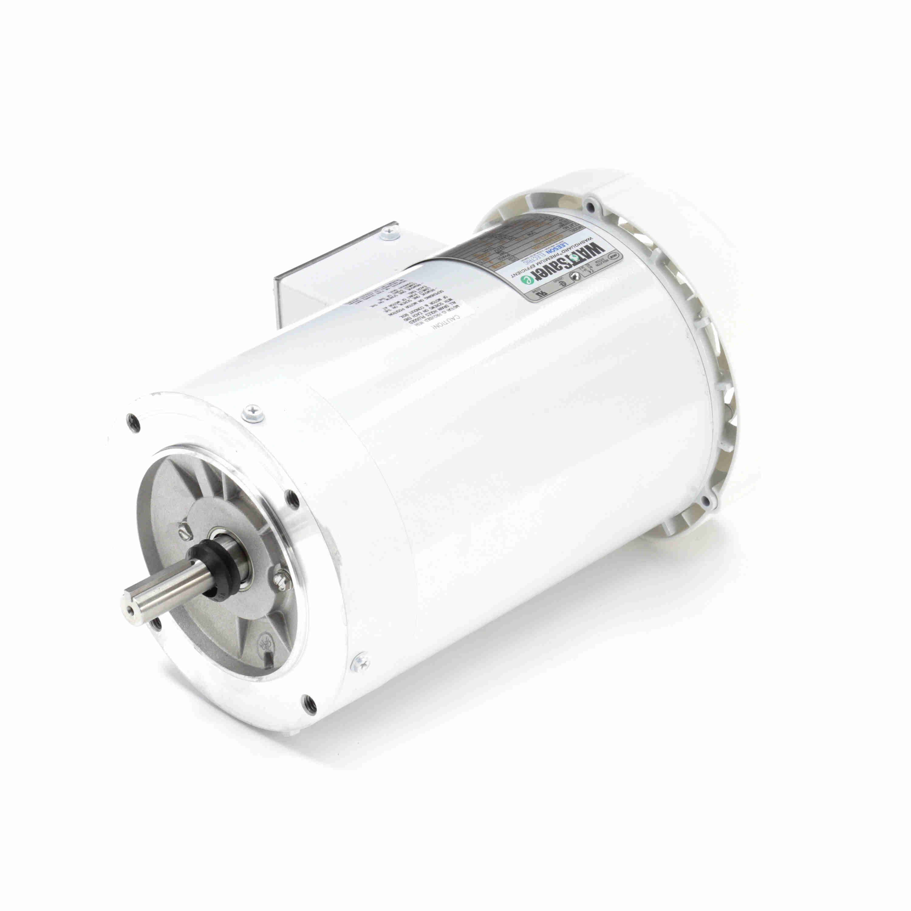 Leeson Washguard Electric Motor, 3 HP, 3600 RPM