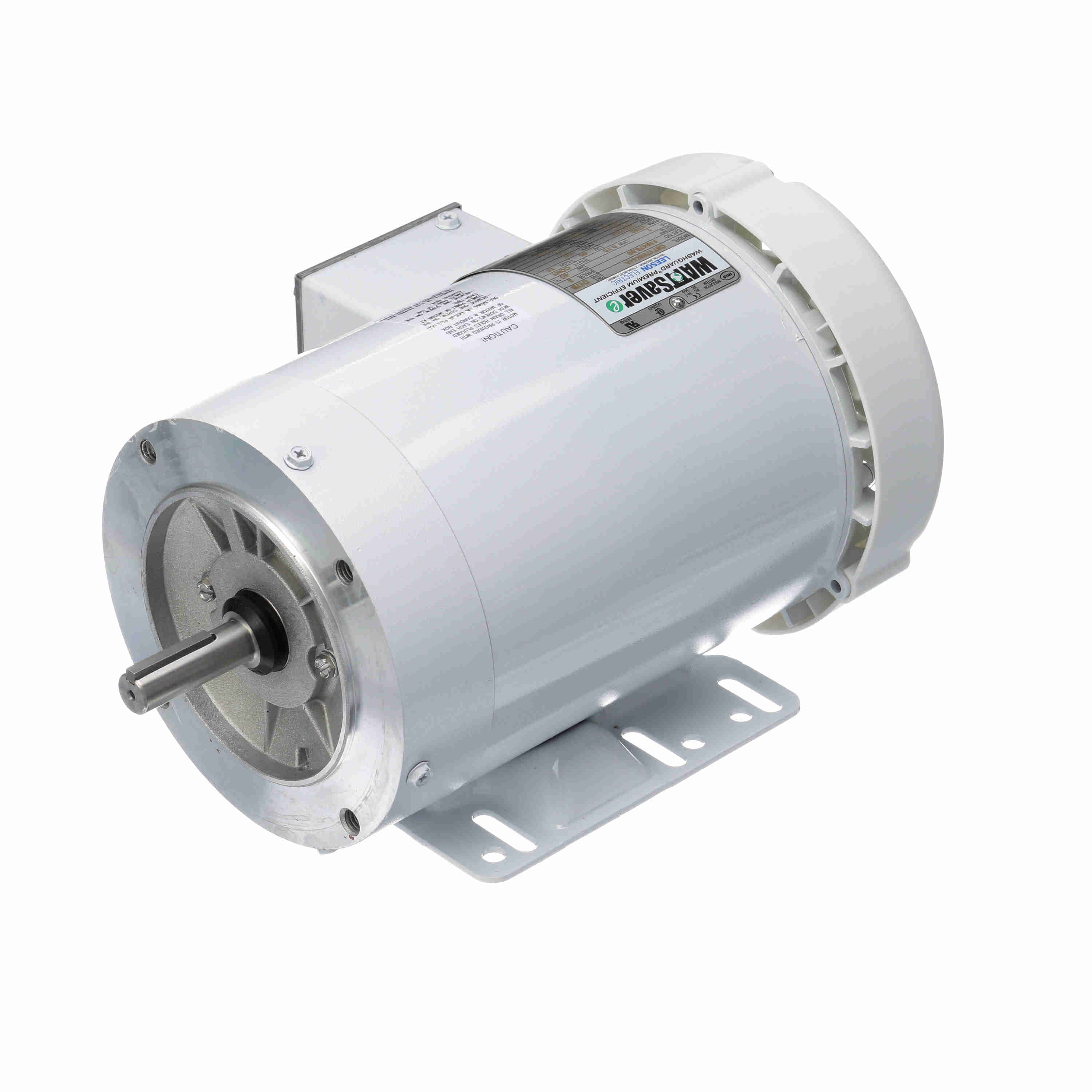 Leeson Washguard Electric Motor, 1 HP, 1800 RPM - 0