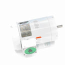 119478.00 Leeson Washguard Motor, 1 HP, 1200 RPM-4