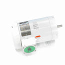 119483.00 Leeson Washguard Motor, 2 HP, 1800 RPM-2