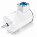 119783.00 Leeson 3HP Agriculture Duty Feather Picker Electric Motor, 1800RPM-2