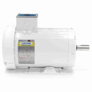 119783.00 Leeson 3HP Agriculture Duty Feather Picker Electric Motor, 1800RPM-4