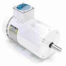 119783.00 Leeson 3HP Agriculture Duty Feather Picker Electric Motor, 1800RPM-1