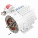 119956.00 Leeson 3/4HP Washguard Explosion Proof Electric Motor, 1800RPM-3