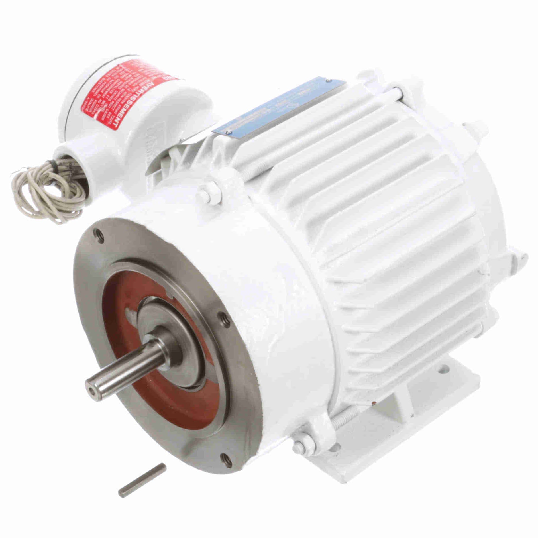 119956.00 Leeson 3/4HP Washguard Explosion Proof Electric Motor, 1800RPM