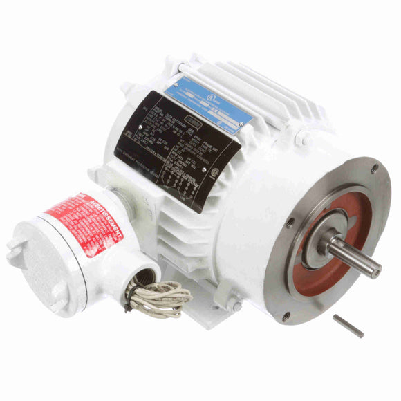119956.00 Leeson 3/4HP Washguard Explosion Proof Electric Motor, 1800RPM