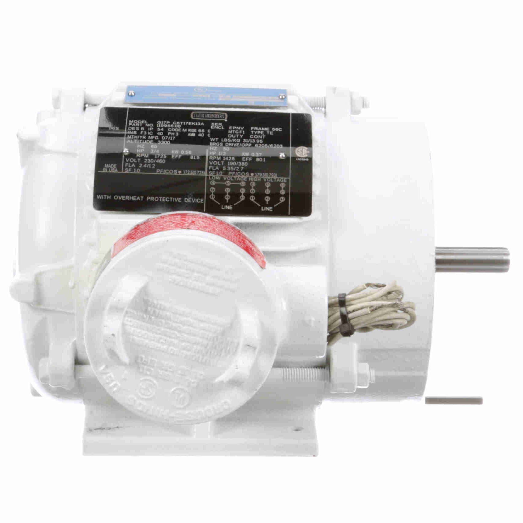 119956.00 Leeson 3/4HP Washguard Explosion Proof Electric Motor, 1800RPM - 0