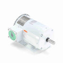 121866.00 Leeson Washguard Motor, 2 HP, 1800 RPM-1