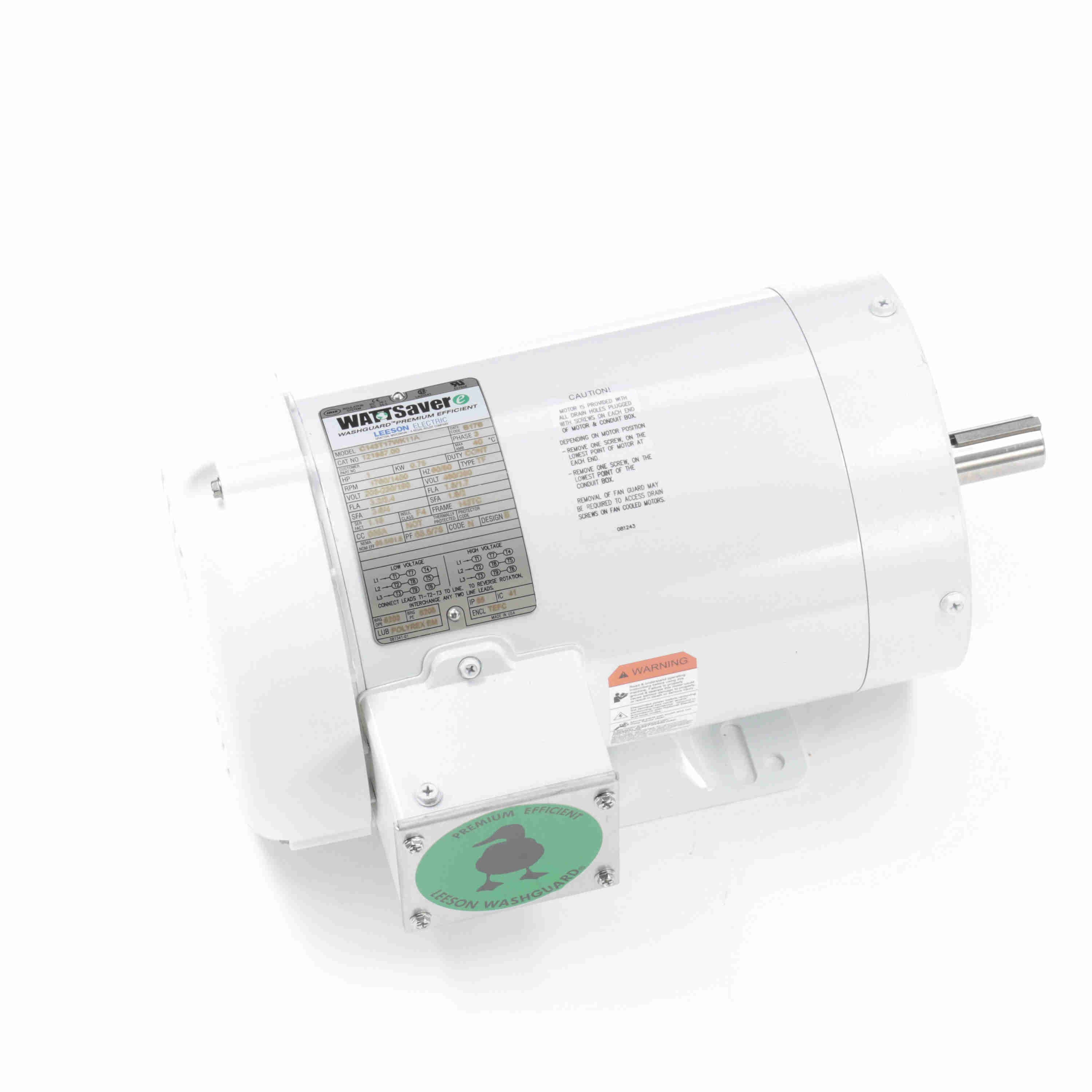 Leeson Washguard Electric Motor, 1 HP, 1800 RPM - 0