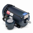 121915.00 Leeson 1/2HP Explosion Proof Electric Motor, 1800RPM-3