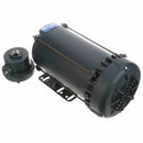 121916.00 Leeson 2HP Explosion Proof Electric Motor, 3600RPM-4