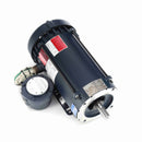 121919.00 Leeson 1HP Explosion Proof Electric Motor, 1800RPM-2