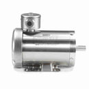 122009.00 Leeson 2HP Agriculture Duty Feather Picker Electric Motor, 1800RPM-4