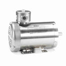 122009.00 Leeson 2HP Agriculture Duty Feather Picker Electric Motor, 1800RPM-3