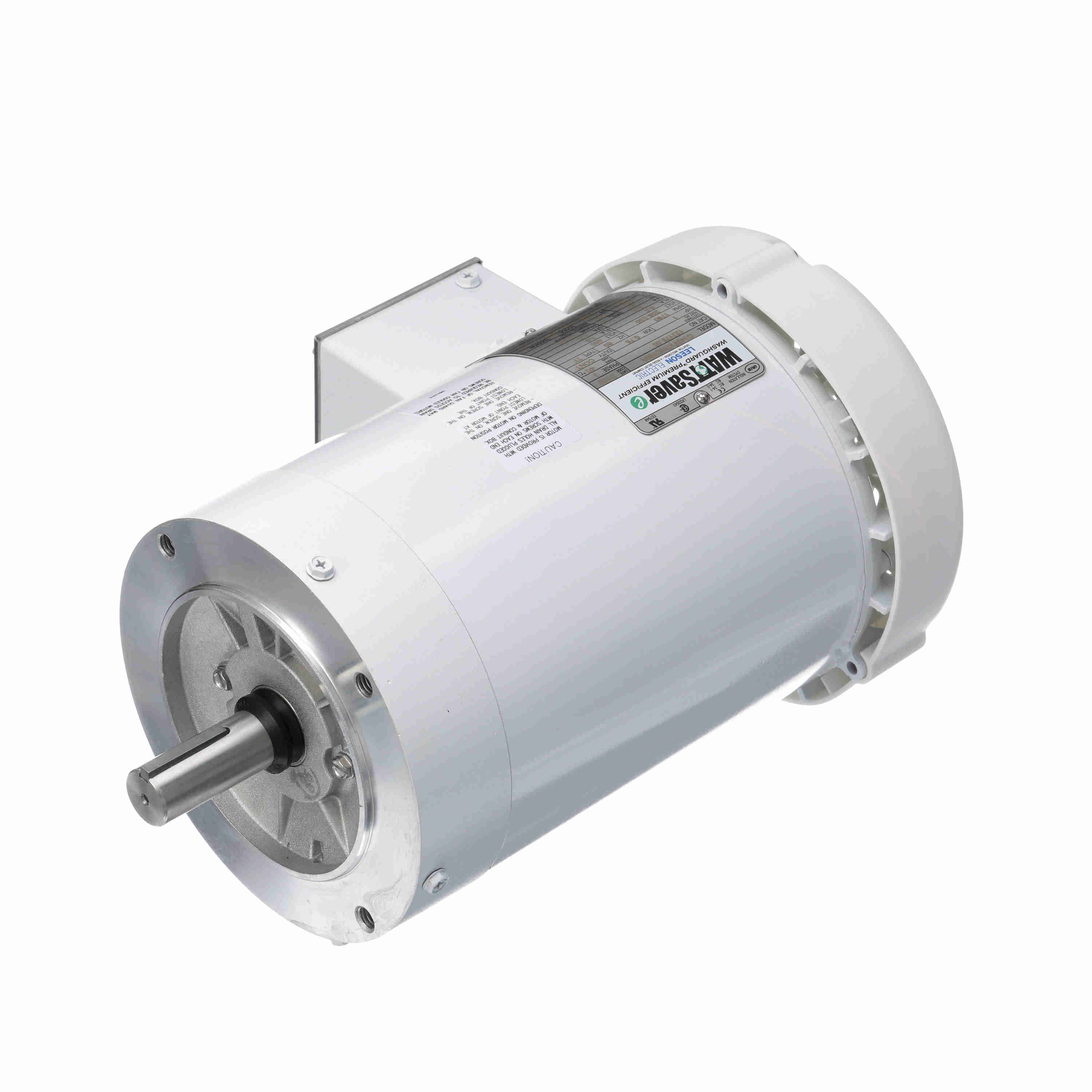 122179.00 Leeson 1HP White Duck Washguard Electric Motor, 1800 RPM - 0