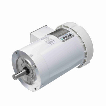 122179.00 Leeson Washguard Motor, 1 HP, 1800 RPM - 0