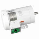 122185.00 Leeson Washguard Motor, 2 HP, 3600 RPM-2