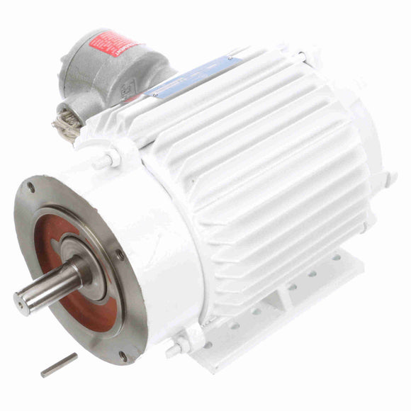 122395.00 Leeson 1HP Washguard Explosion Proof Electric Motor, 1800RPM