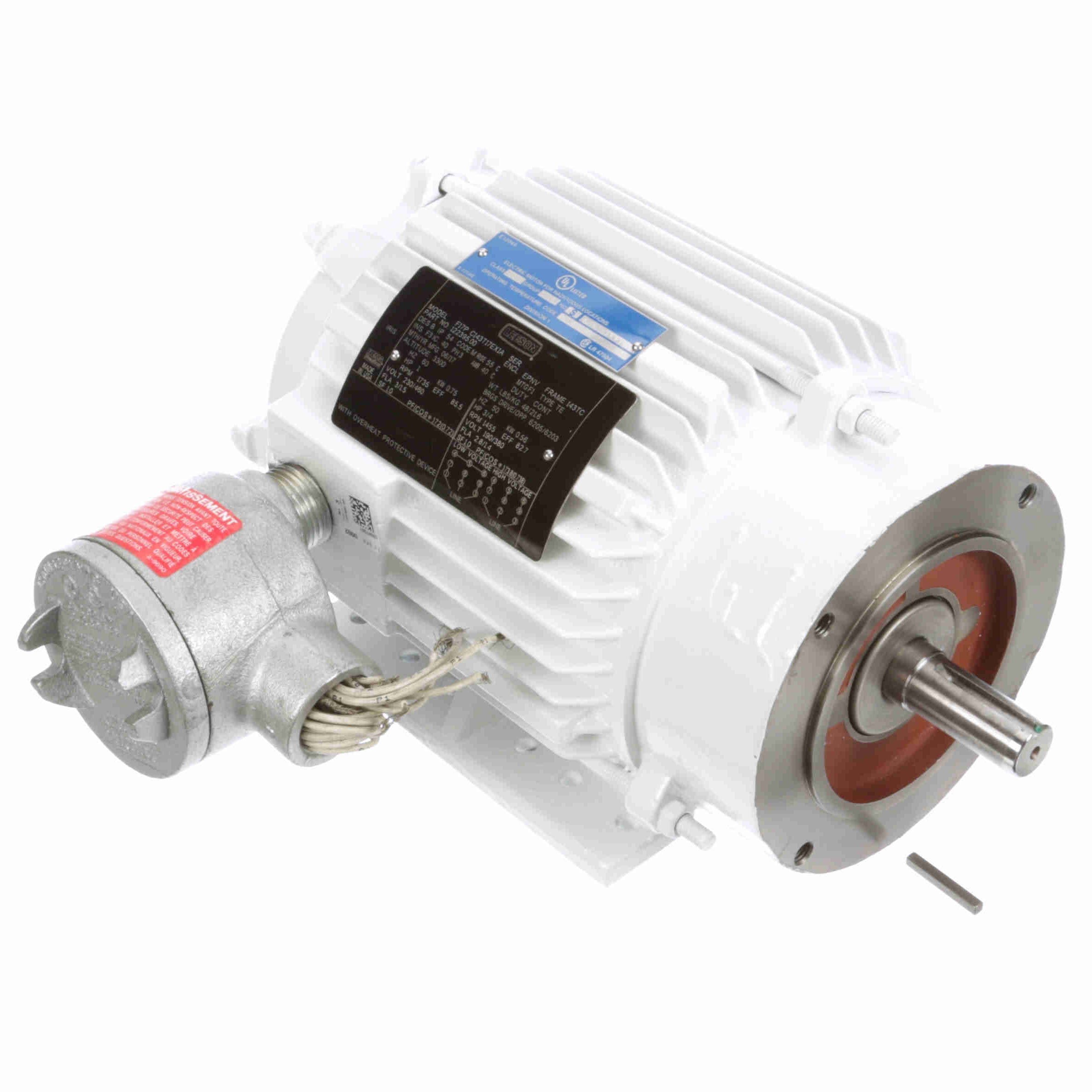 122395.00 Leeson 1HP Washguard Explosion Proof Electric Motor, 1800RPM