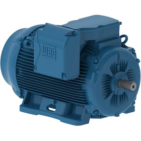 12509ET3G447T-W22 WEG 125HP Severe Duty Electric Motor, 900RPM