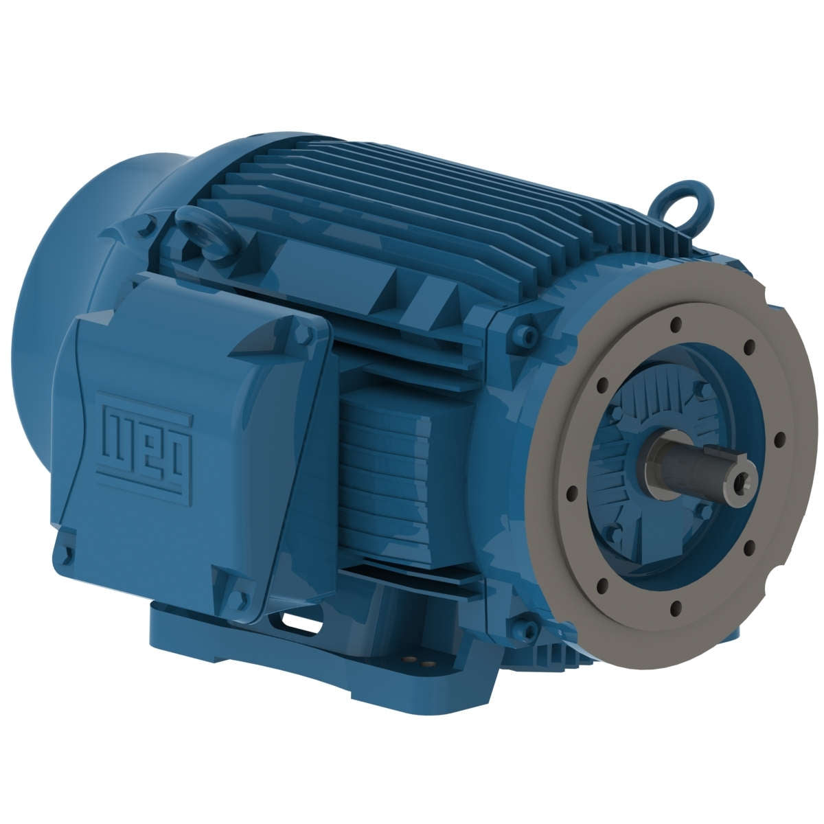 12518ET3E444TC-W22 WEG 125HP Severe Duty Electric Motor, 1800RPM