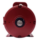 131542.00 Leeson 3HP Extra Hi-Torque Agriculture Duty Electric Motor, 1800RPM-3