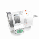 132196.00 Leeson Washguard Motor, 3 HP, 1800 RPM-2