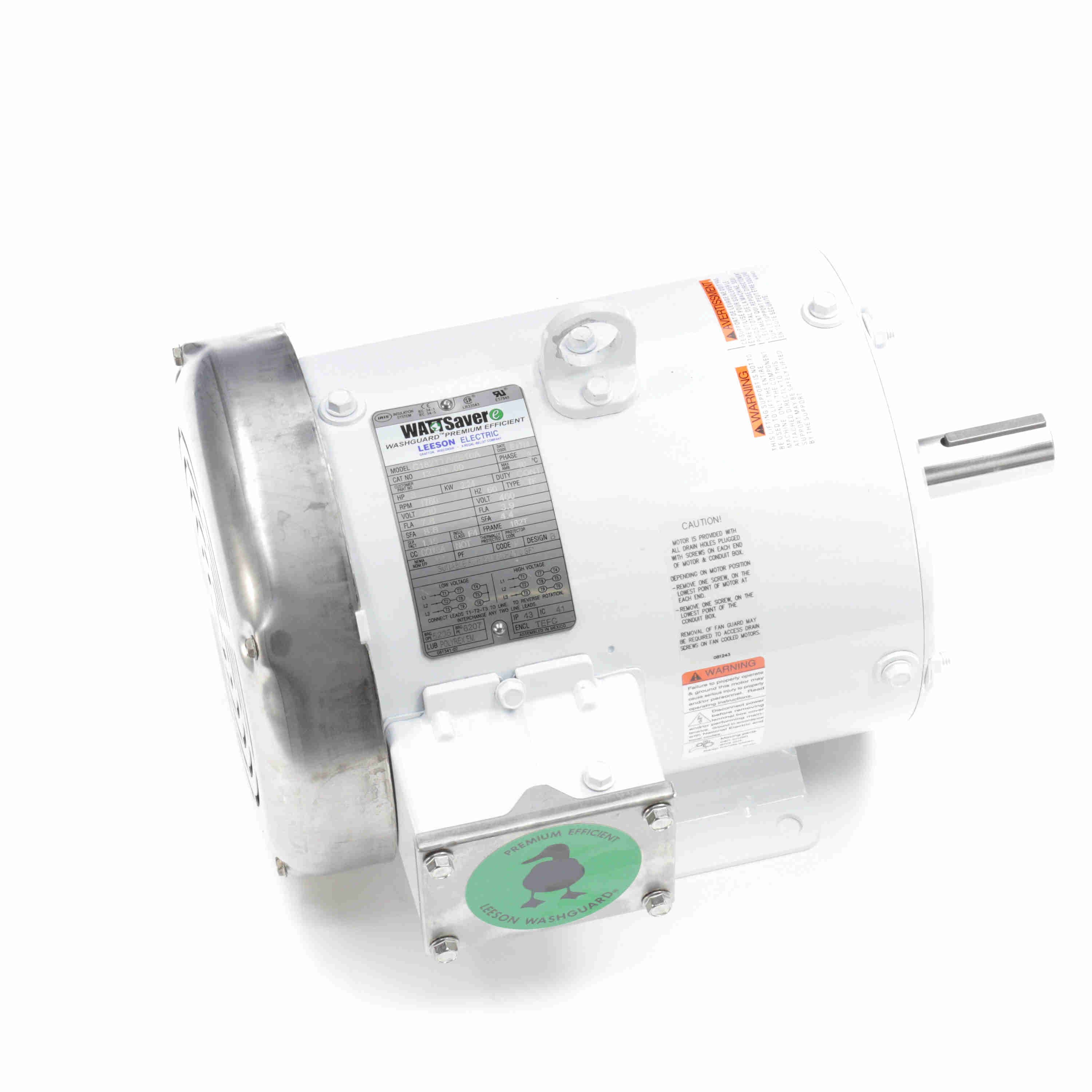 132196.00 Leeson 3HP White Duck Washguard Electric Motor, 1800RPM - 0