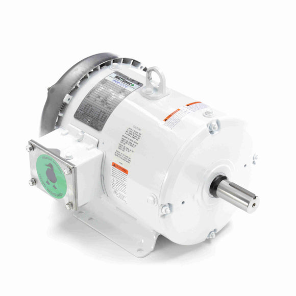 132196.00 Leeson Washguard Motor, 3 HP, 1800 RPM