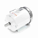 132196.00 Leeson Washguard Motor, 3 HP, 1800 RPM-4