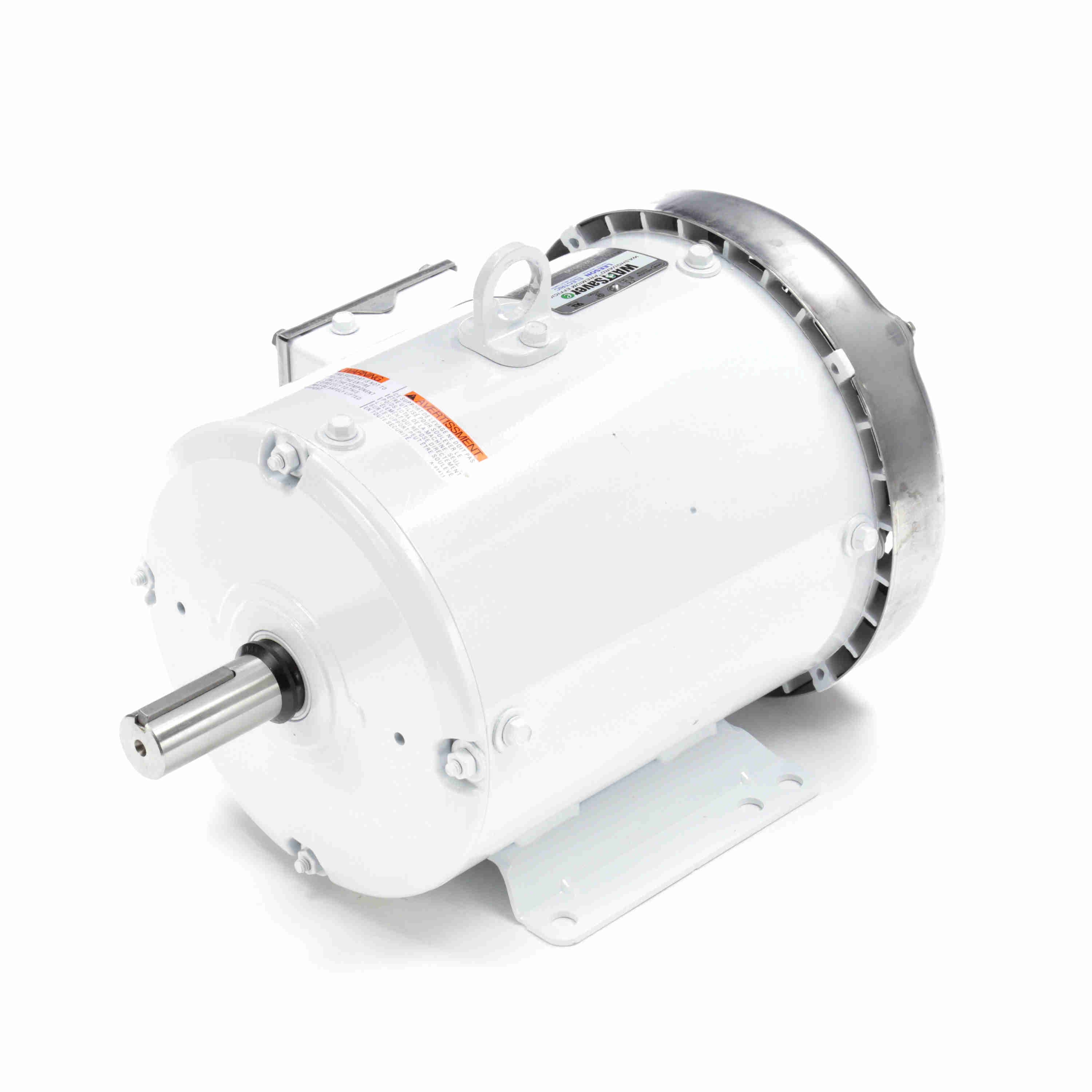 132196.00 Leeson 3HP White Duck Washguard Electric Motor, 1800RPM