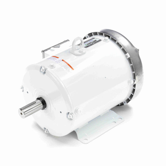 132196.00 Leeson Washguard Motor, 3 HP, 1800 RPM