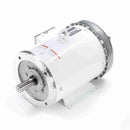 132200.00 Leeson Washguard Motor, 5 HP, 3600 RPM-4