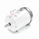 132202.00 Leeson Washguard Motor, 5 HP, 3600 RPM-2