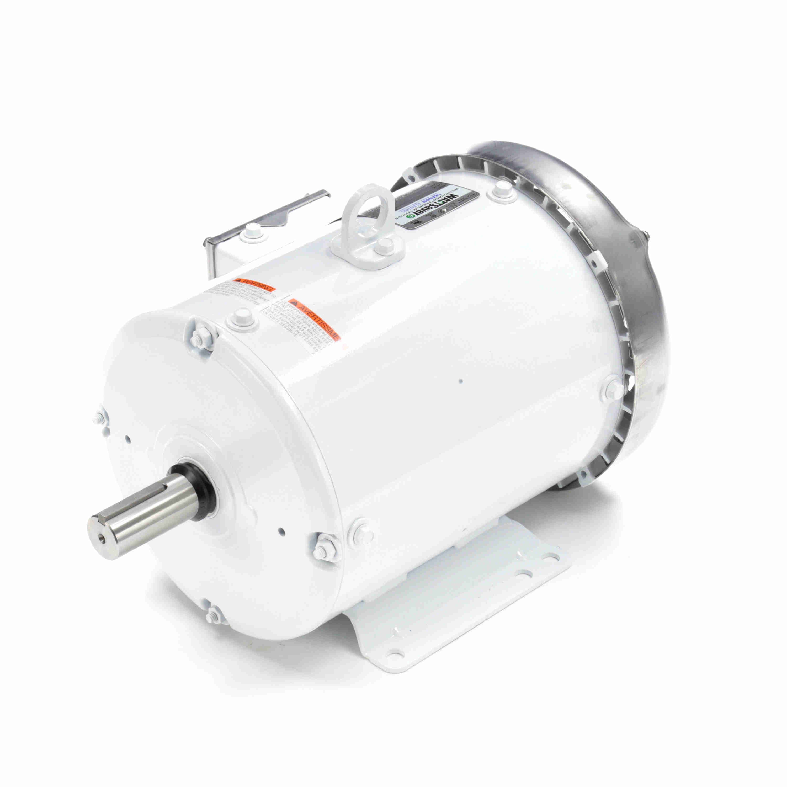 132202.00 Leeson Washguard Electric Motor, 5 HP, 3600 RPM - 0