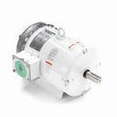 132202.00 Leeson Washguard Motor, 5 HP, 3600 RPM-4