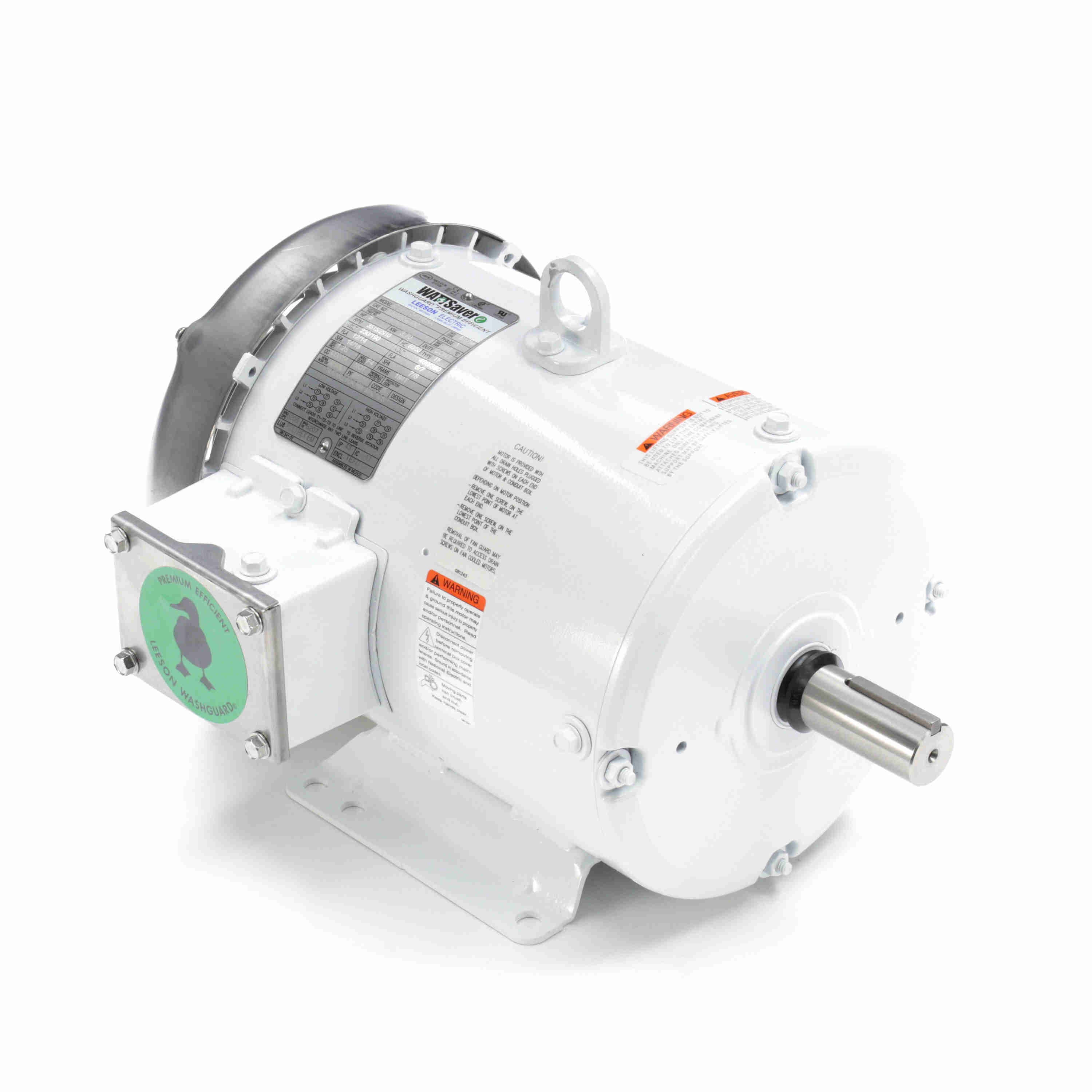 132202.00 Leeson Washguard Electric Motor, 5 HP, 3600 RPM
