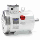 132246.00 Leeson 2HP Ag-Duty Feather Picker Electric Motor, 1200RPM-4