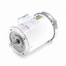 132441.00 Leeson Washguard Motor, 5 HP, 3600 RPM-3