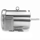 132452.00 Leeson 5HP Washdown JM Pump Electric Motor, 1800RPM-2
