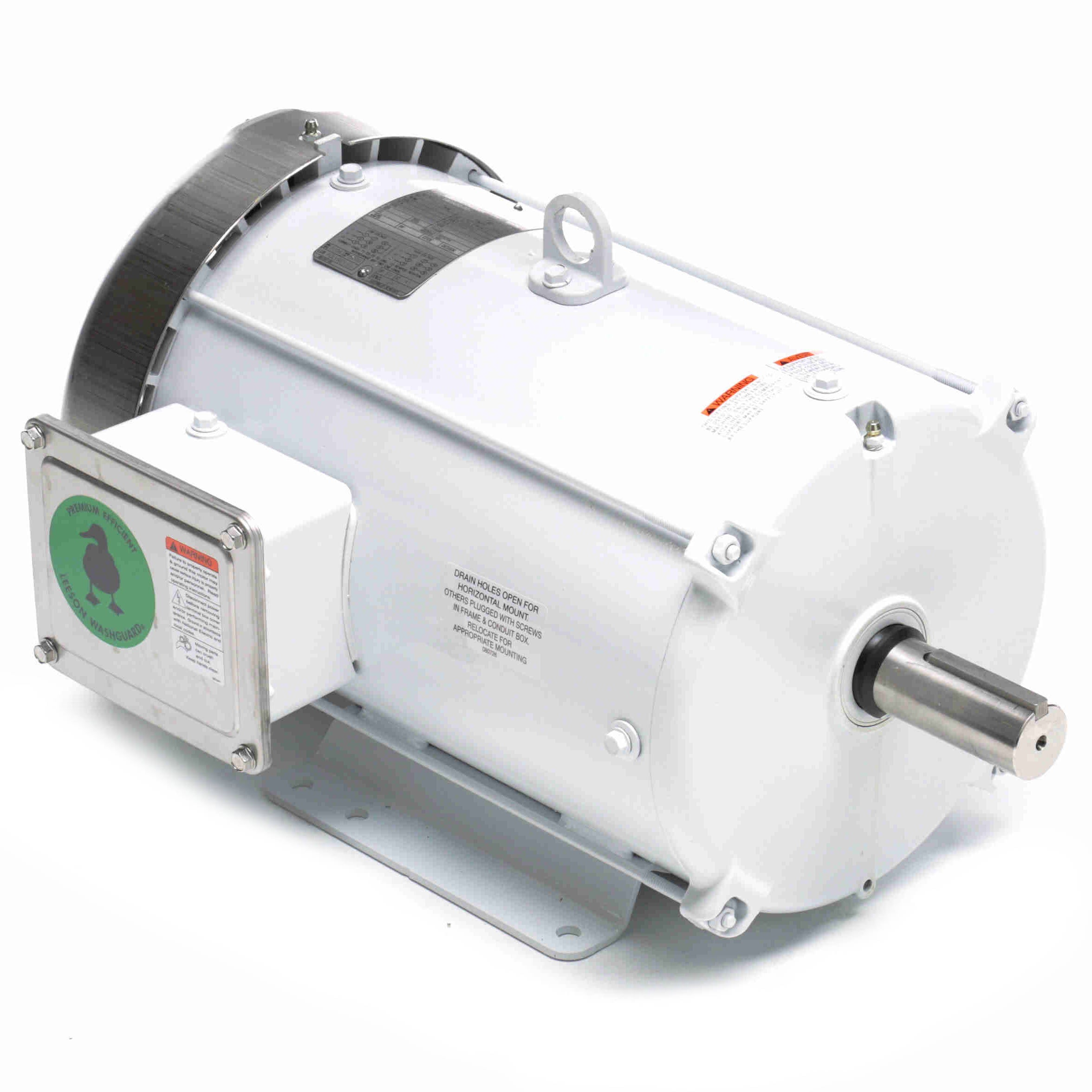 Leeson Washguard Electric Motor, 10 HP, 1800 RPM