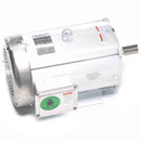 140820.00 Leeson Washguard Motor, 10 HP, 1800 RPM-3