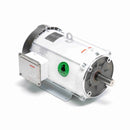 140821.00 Leeson Washguard Motor, 10 HP, 1800 RPM-1