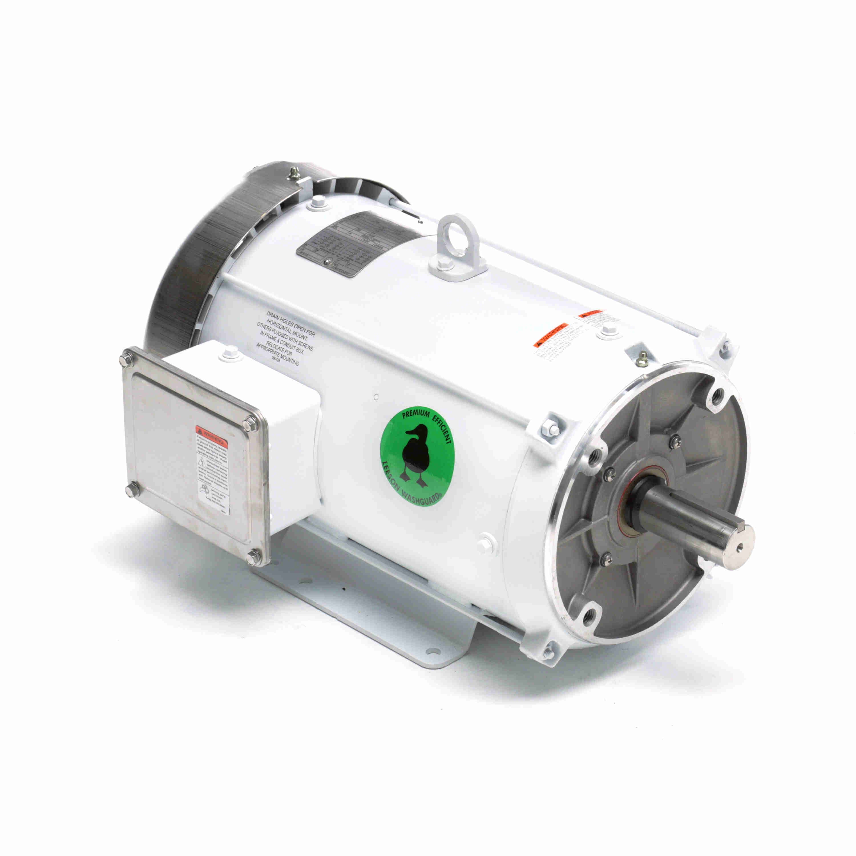 140821.00 Leeson 10HP White Duck Washguard Electric Motor, 1800 RPM