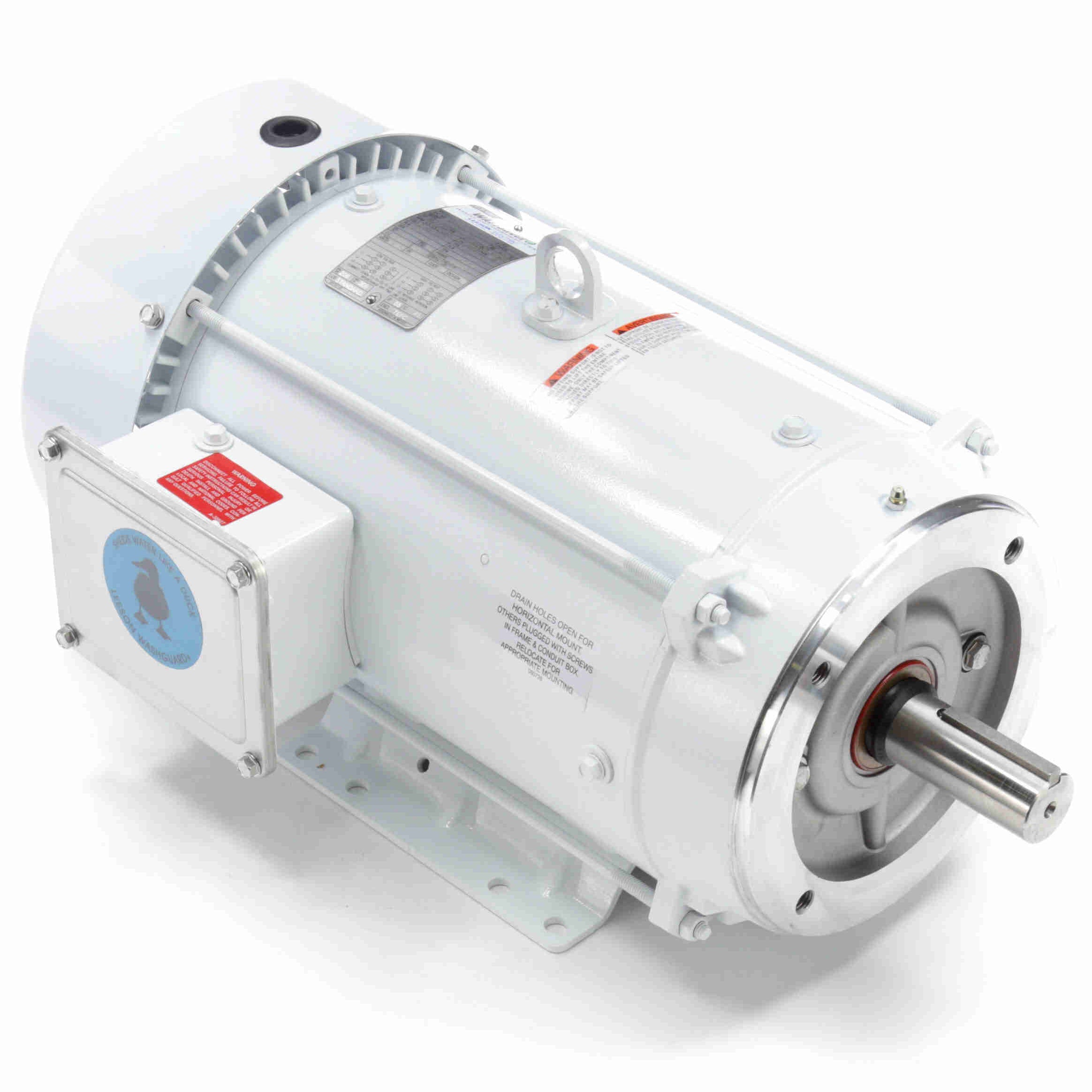 Leeson Washguard Electric Motor, 10 HP, 3600 RPM