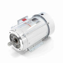 141120.00 Leeson Washguard Motor, 7.5 HP, 3600 RPM-2