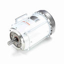 141266.00 Leeson Washguard Motor, 7.5 HP, 1800 RPM-2