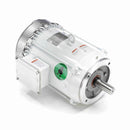 141267.00 Leeson Washguard Motor, 7.5 HP, 3600 RPM-1